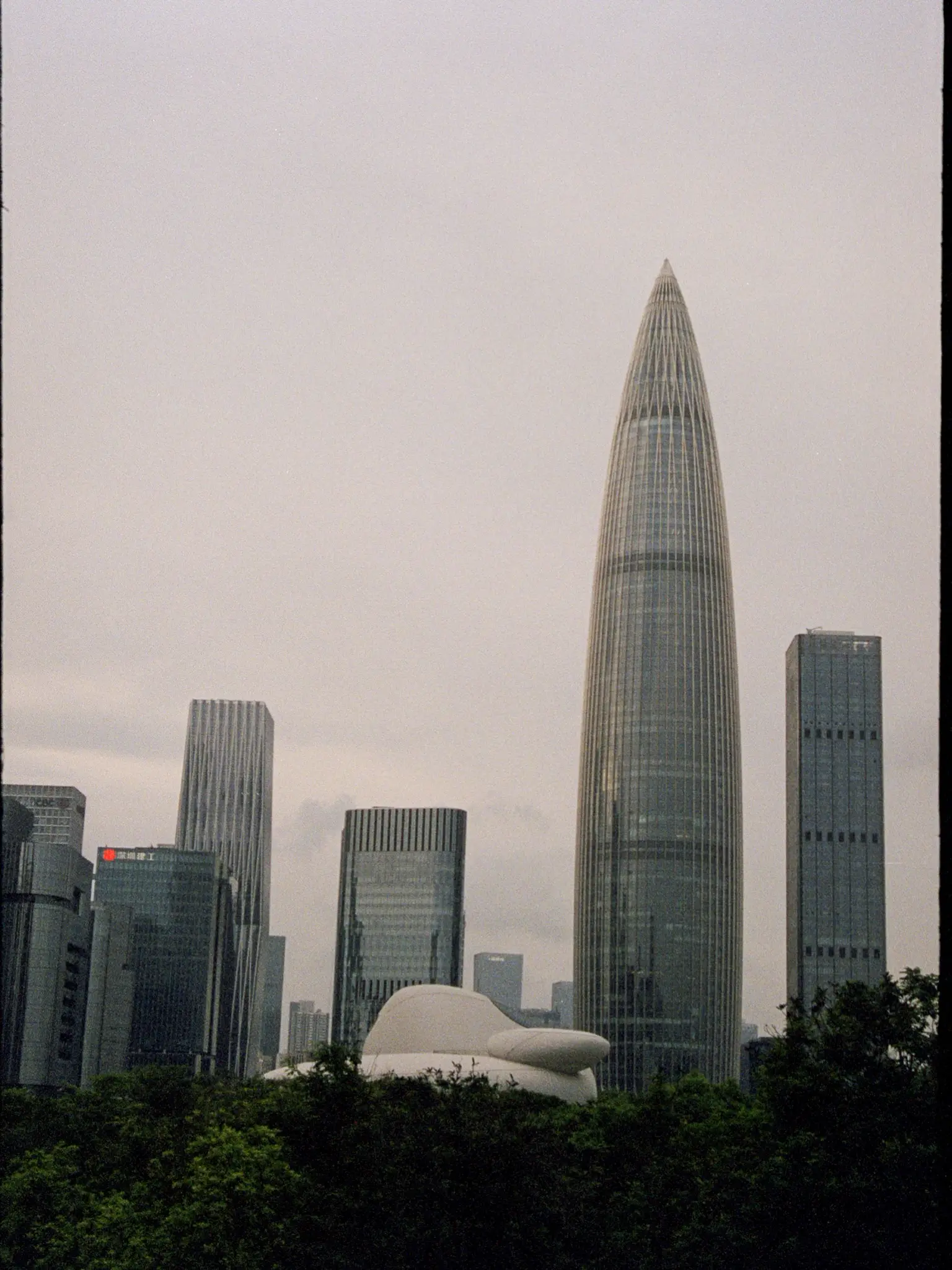 Shenzhen skyline above a canopy of trees